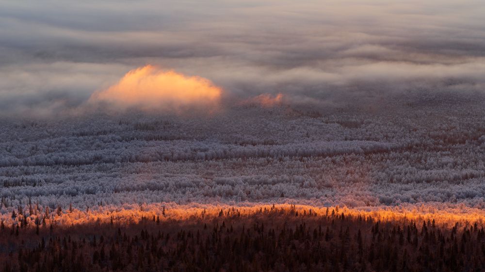 Photograph by Захар Шадрин