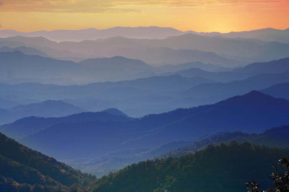 Фотография автора Irina Kozhemyakina