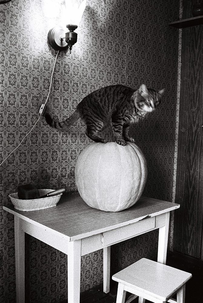 Photograph by Анатолий Смирнов