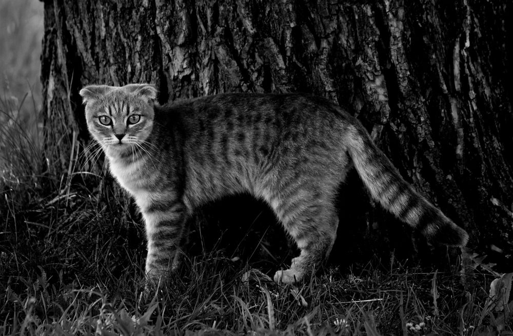 Photograph by Зоя Быкова