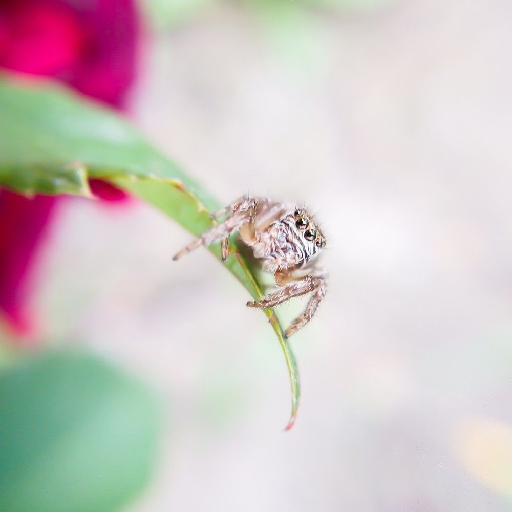 Photograph by Диана Кошелева