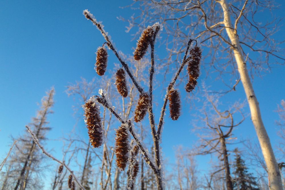 Photograph by Сергей Карцев