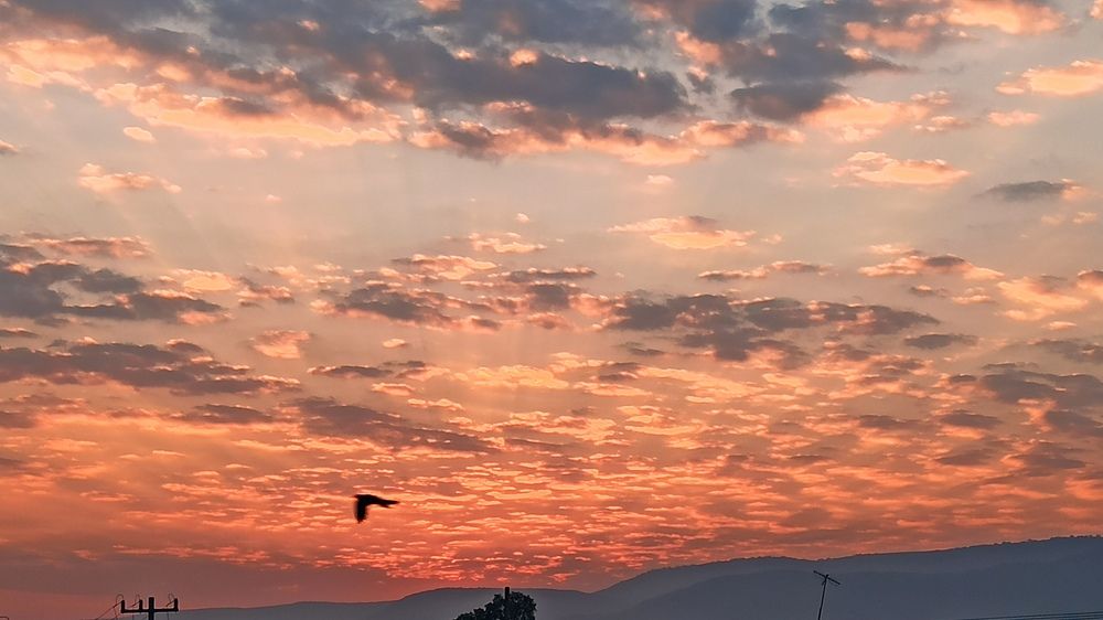 Photograph by Gerardo Jimenez