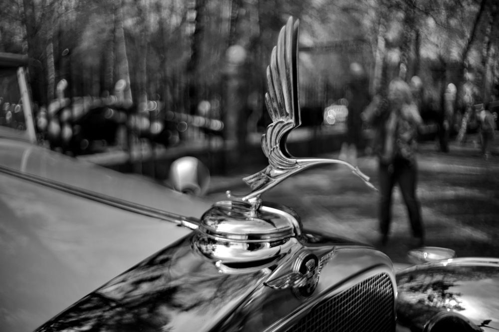 Photograph by Константин Лагоденко