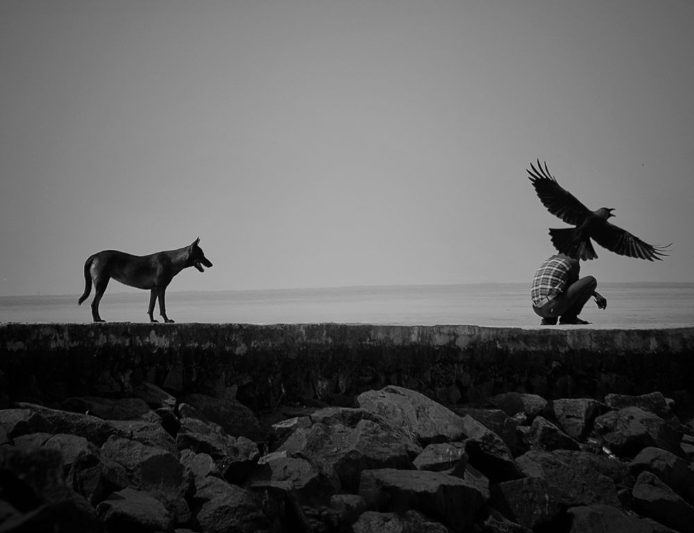 Фотография автора Shanu Sherief