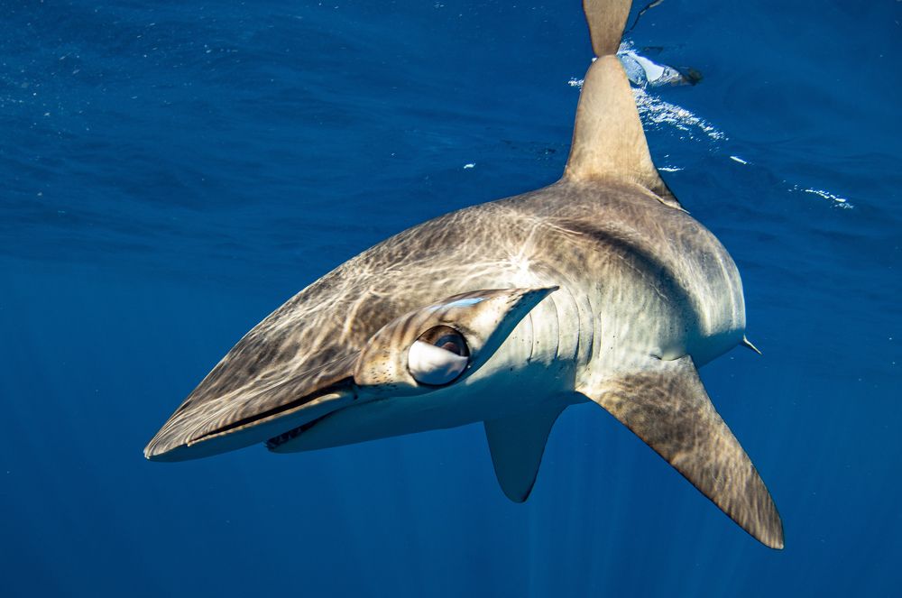 Photograph by Jacopo Brunetti