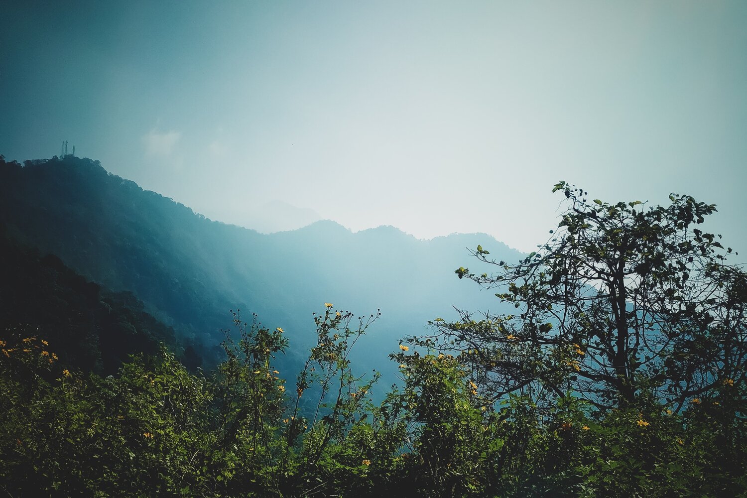 Photo #5884775