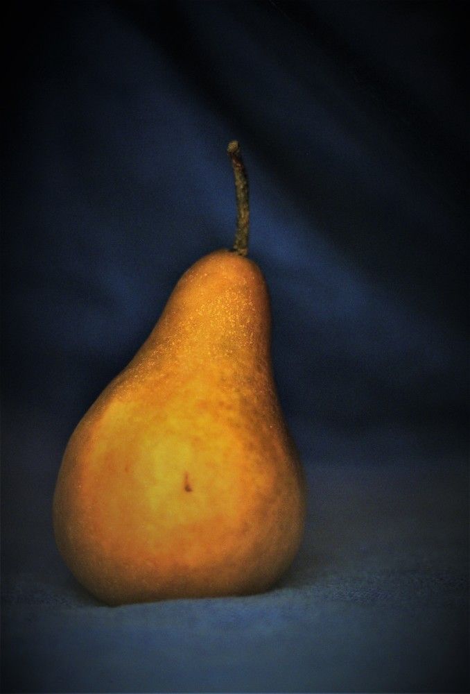 Photograph by Veremeyeva Marina