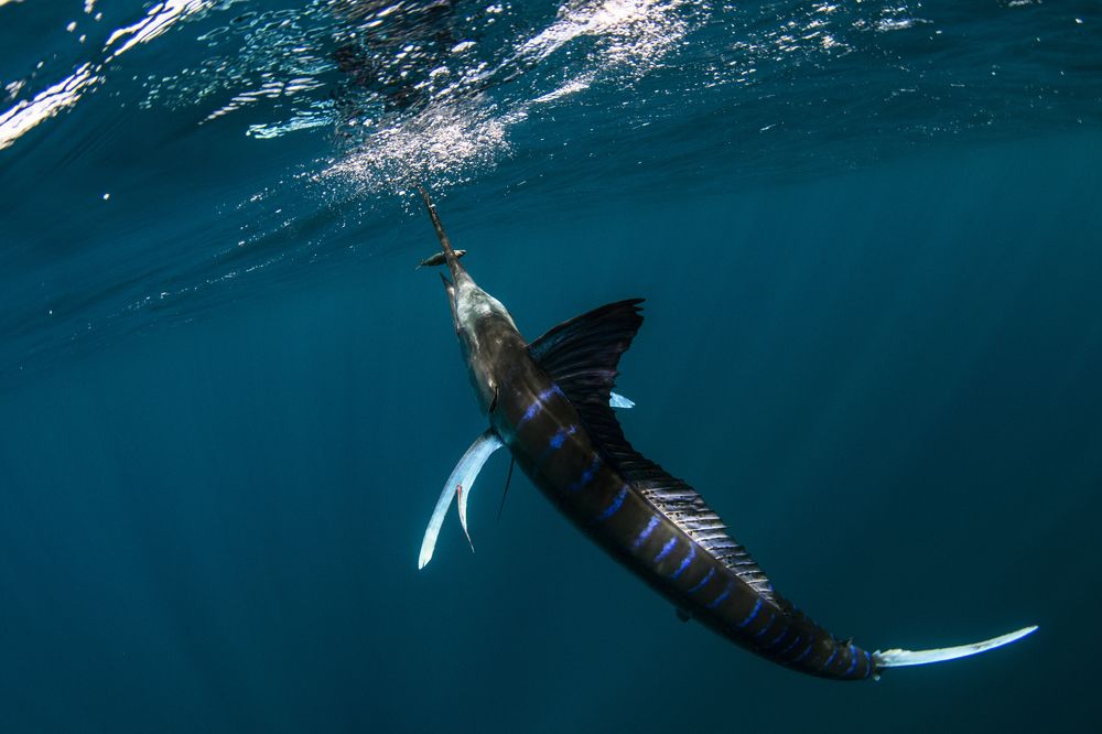 Photograph by Jacopo Brunetti