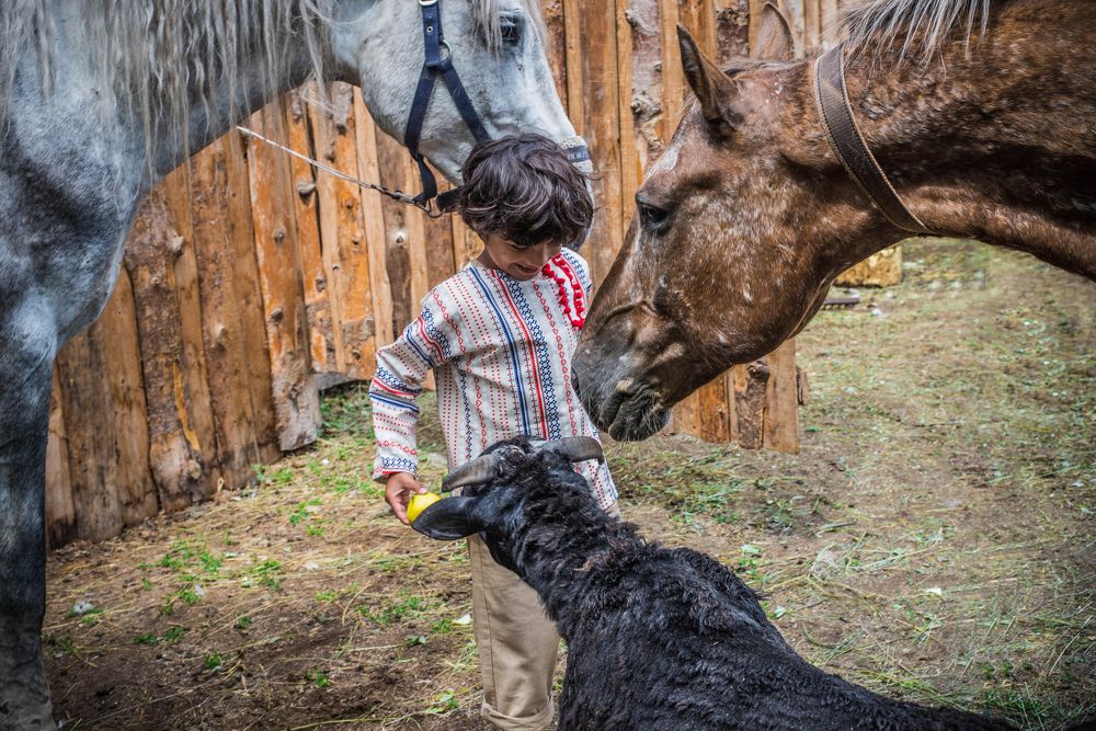 Photograph by Ольга Черницова
