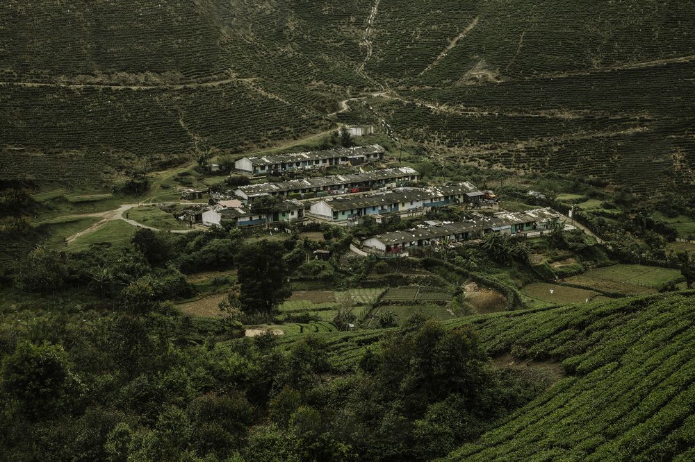 Фотография автора Shanu Sherief