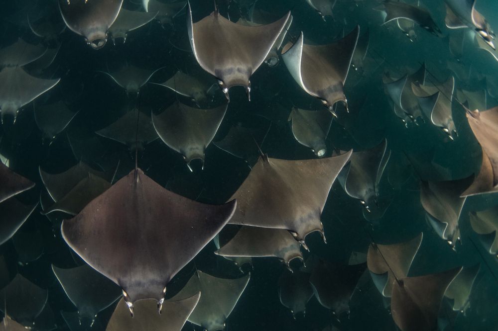 Photograph by Jacopo Brunetti