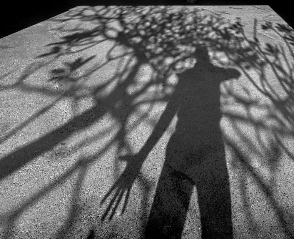 Photograph by Thushan Kariyawasam