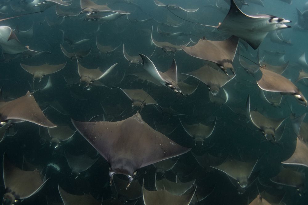 Photograph by Jacopo Brunetti