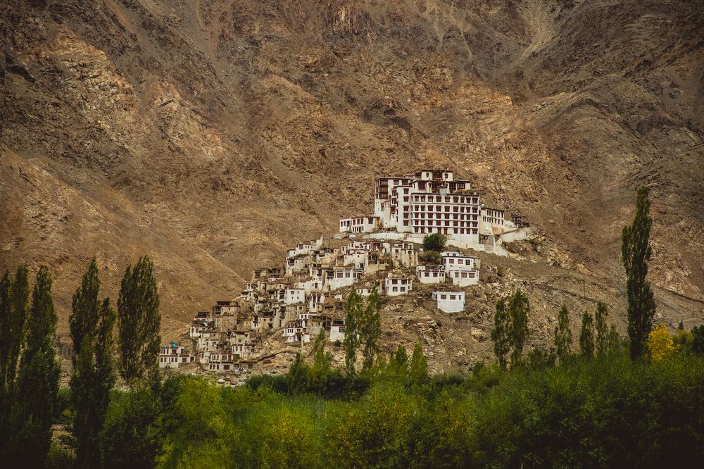 Фотография автора Shanu Sherief