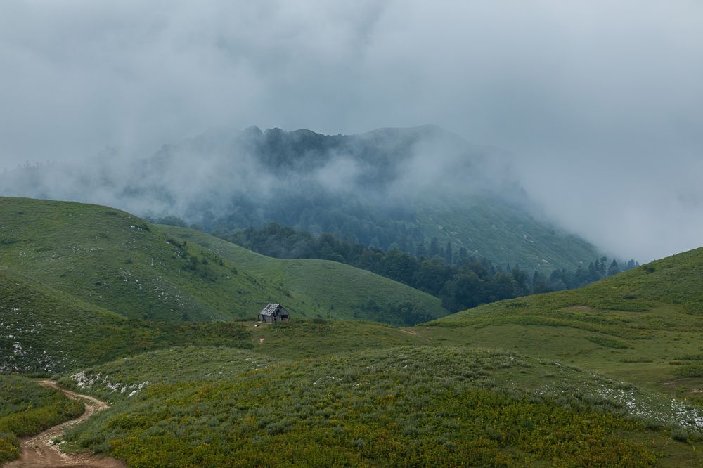 Photograph by Константин