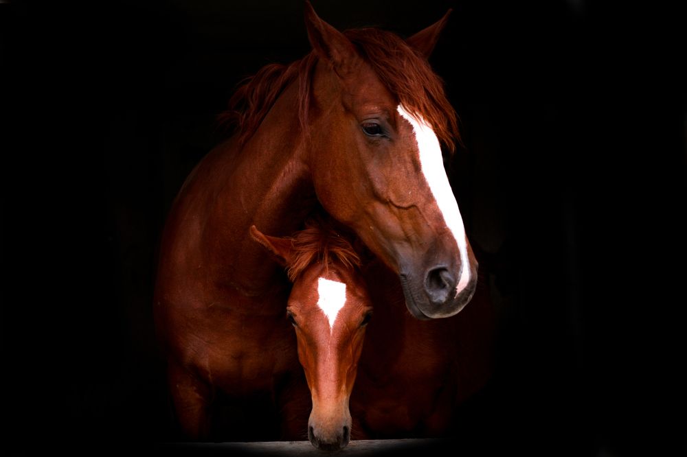 Фотография автора Юлія