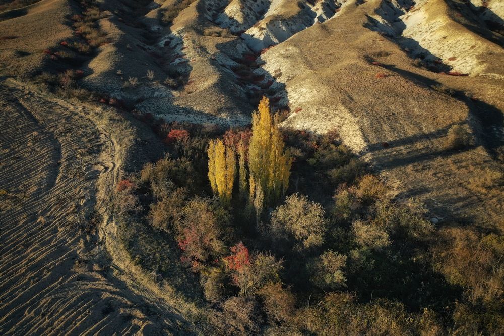 Photograph by Дмитрий Батагов