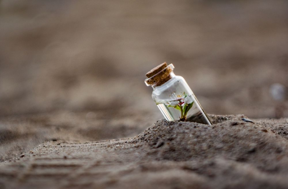 Photograph by Илья Куфко