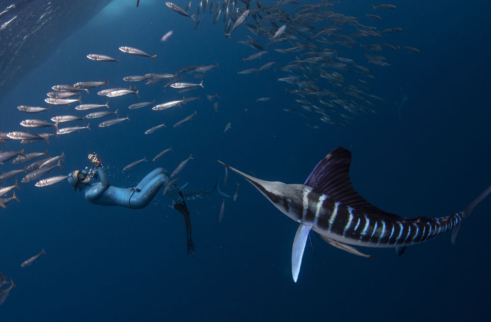 Photograph by Jacopo Brunetti