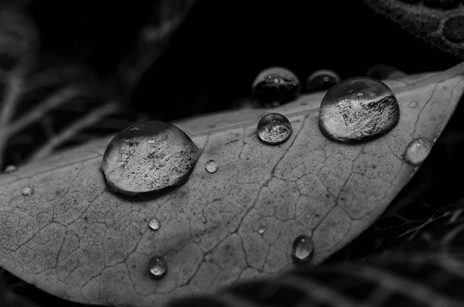 Photo #5885059