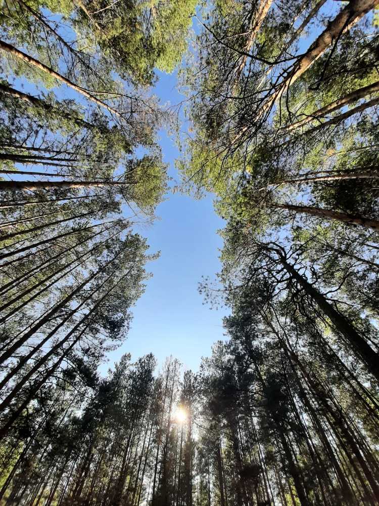 Photograph by Людмила Желтенко