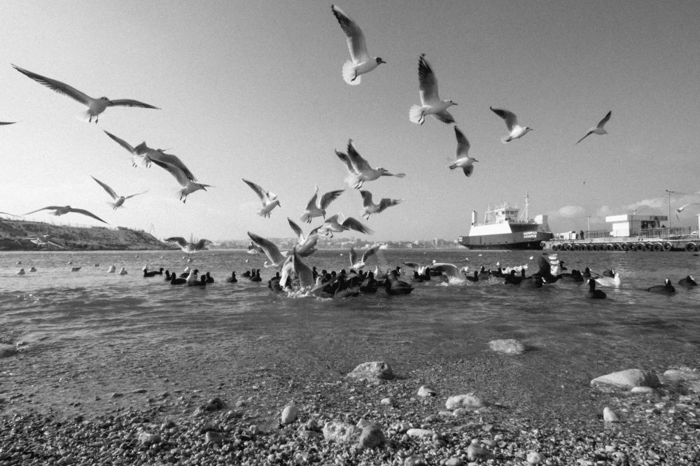 Photograph by Станислав Косматулин