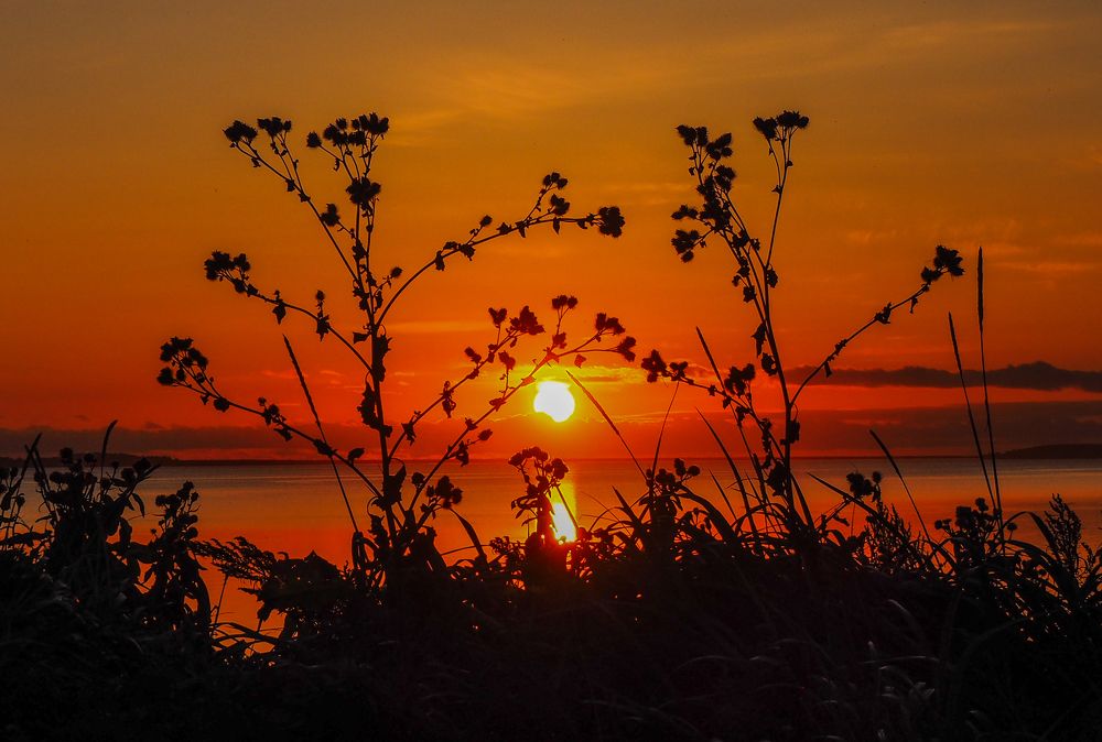 Пламенеющий закат