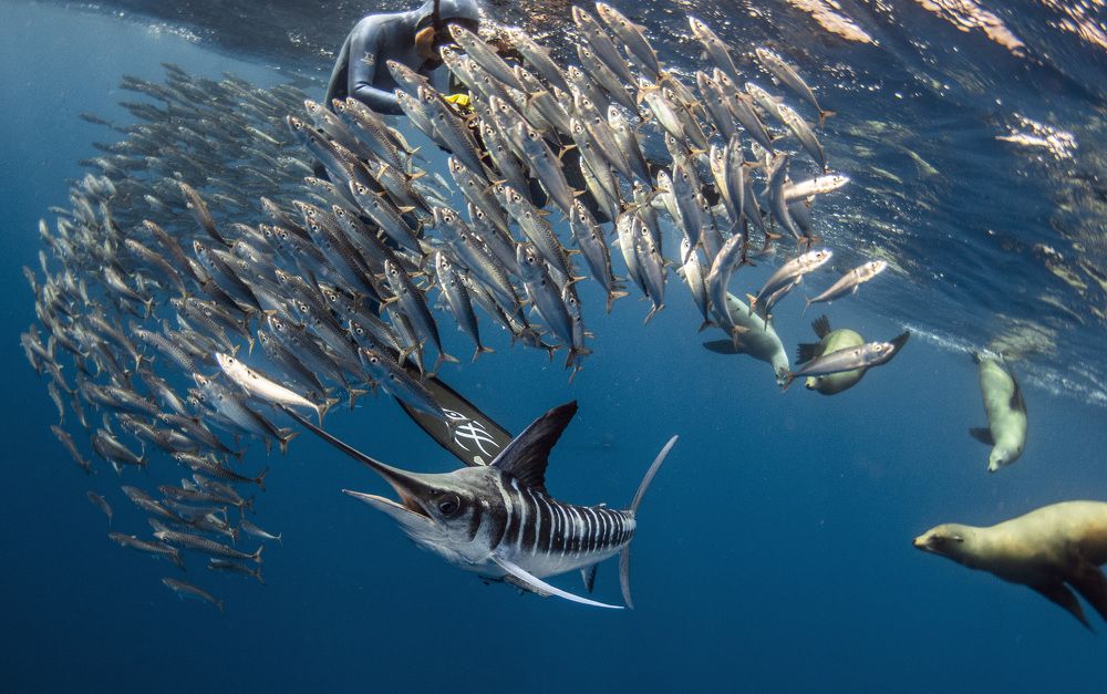 Photograph by Jacopo Brunetti