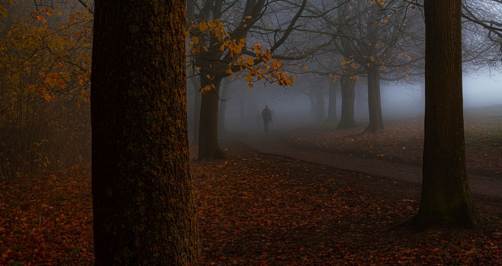 Photograph by KRZYSZTOF JAKUBAS