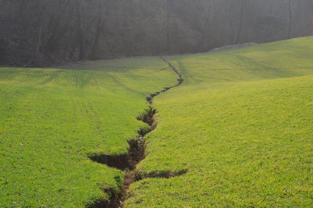 Photograph by Maurizio