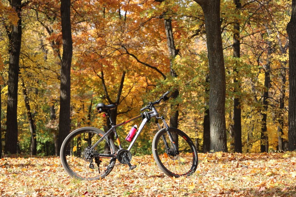 Photograph by Сергей Яковлев