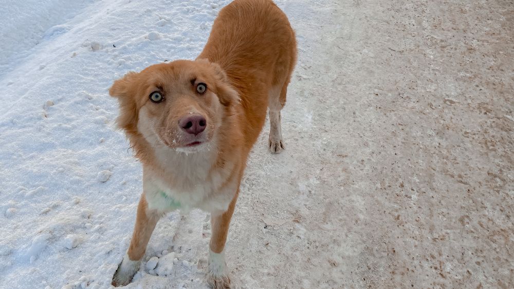 Фотография автора Илиза Майнурова