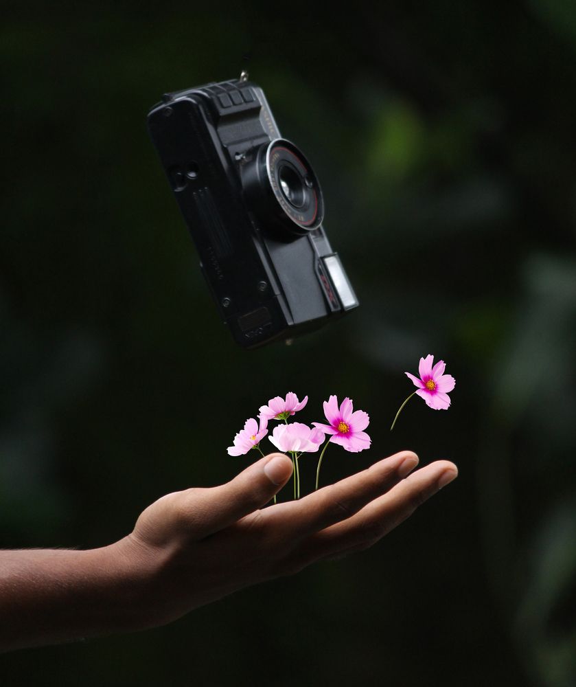 Photograph by Rijas Galleria