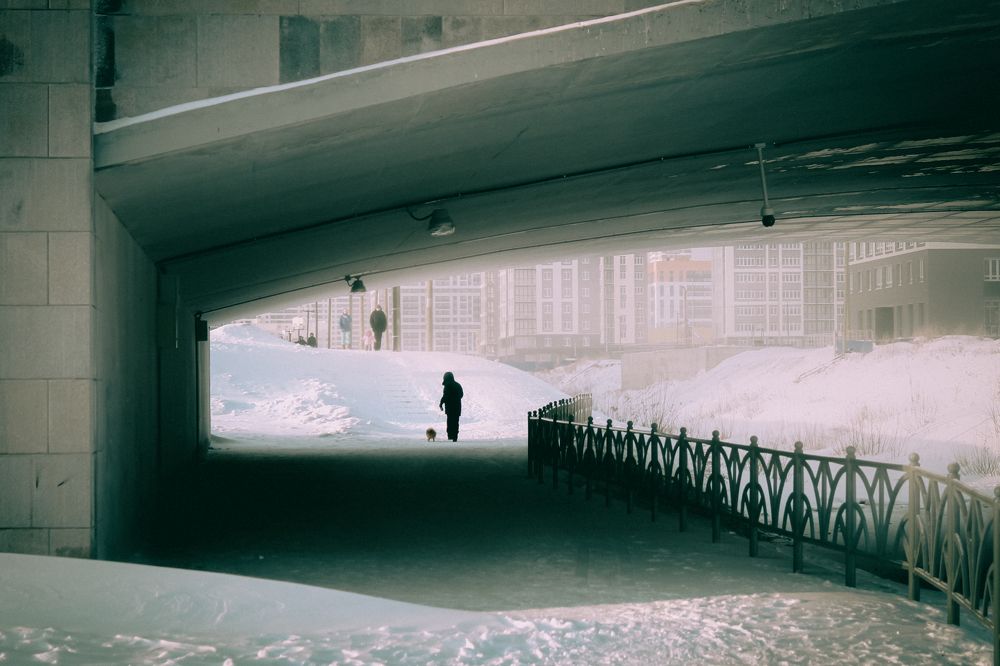 Photo #5885382