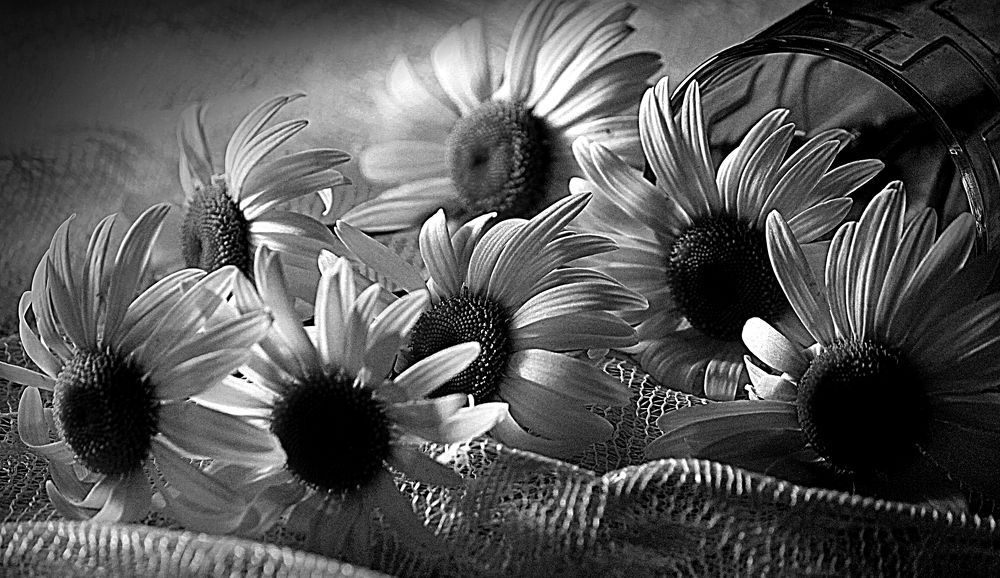 Photograph by Зоя Быкова