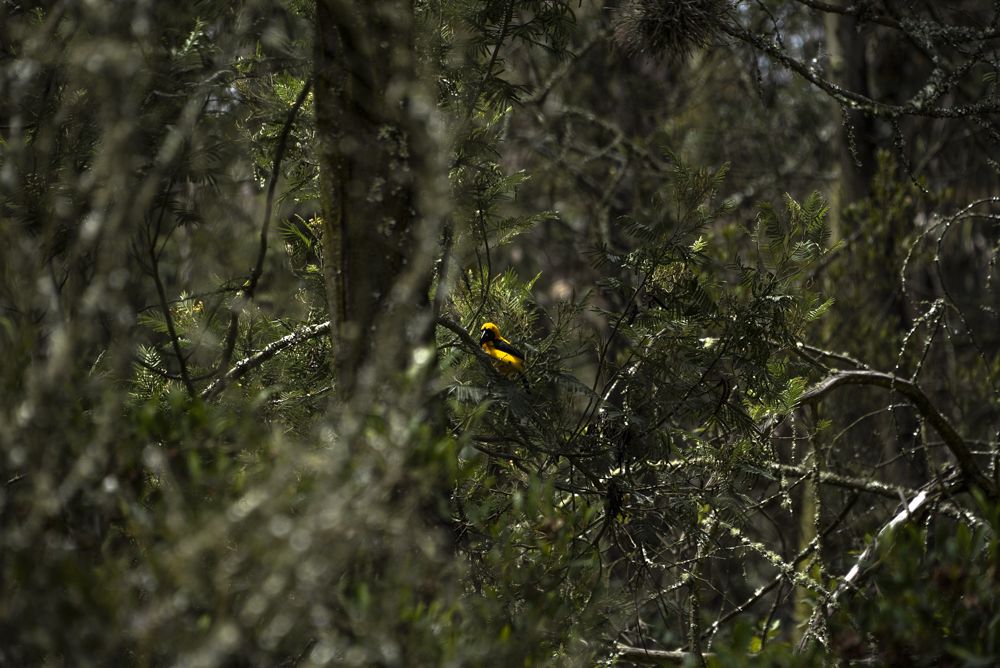 Photograph by Juan Sebastian