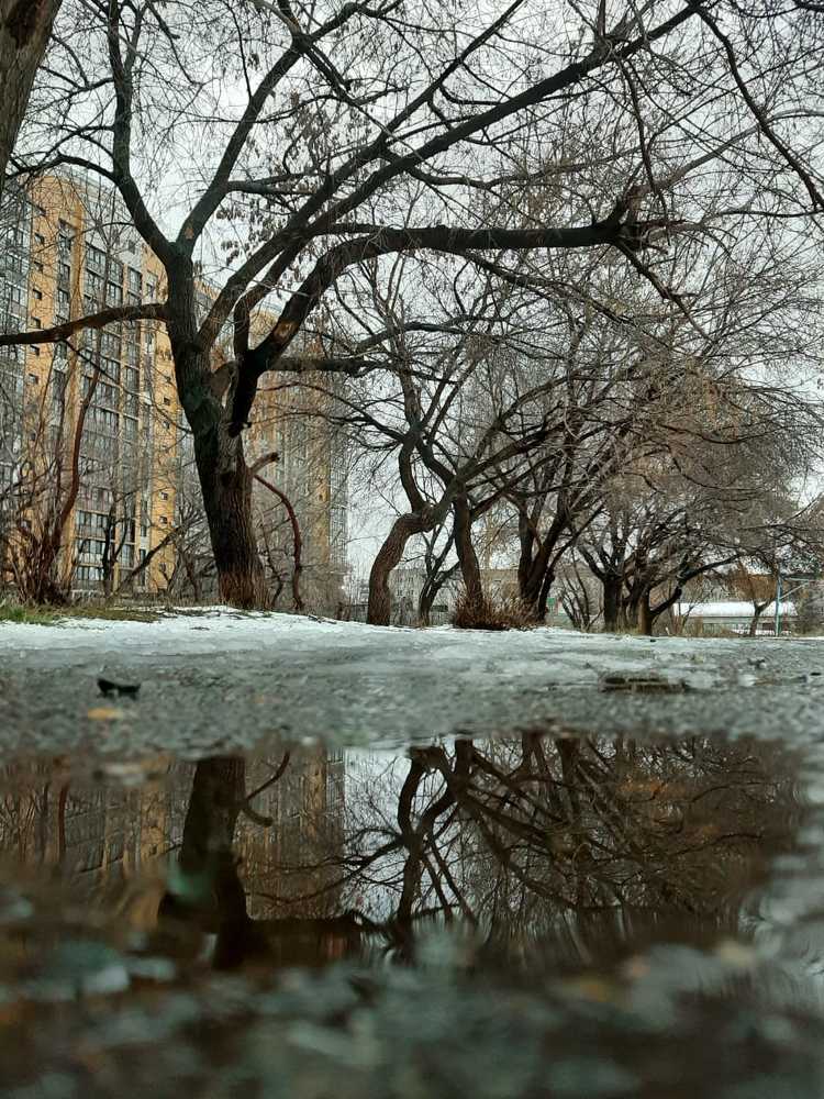 Photograph by Людмила Желтенко