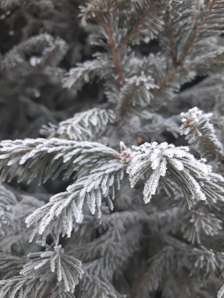 Photograph by Людмила Желтенко