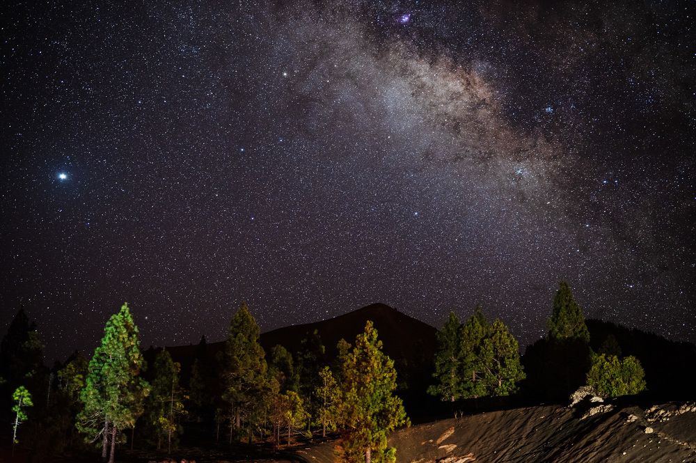 Photograph by Vitalis Vasylius