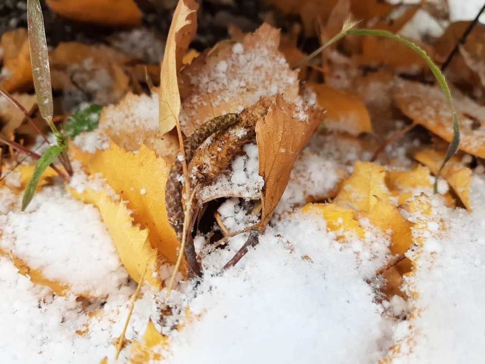 Photograph by Людмила Желтенко