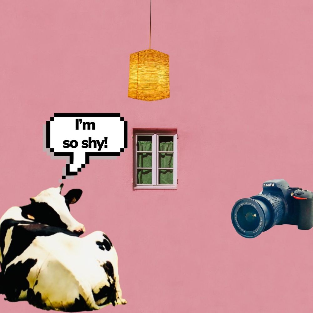 Photograph by Tiago França