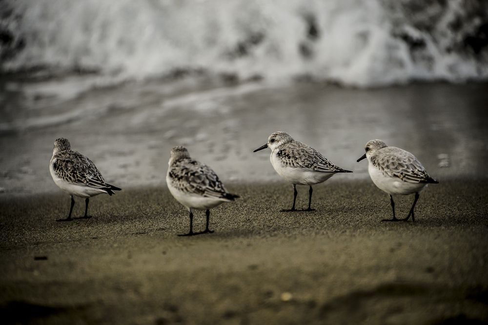 Photograph by Juan Sebastian