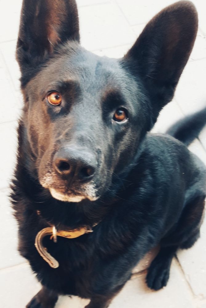 Photograph by Наталья Пусулиди