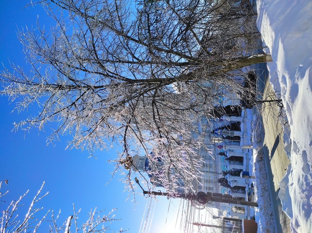 Мороз и солнце