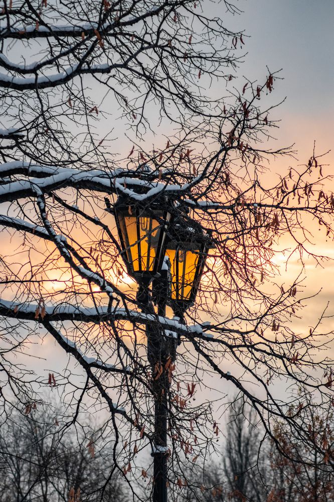 Photograph by Дамир Давронов