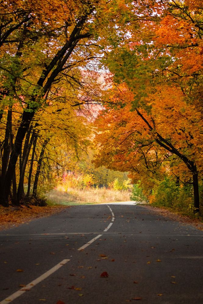 Photograph by Дамир Давронов