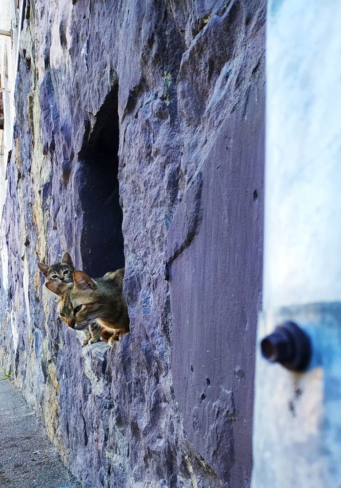 Photograph by Павел Зенков