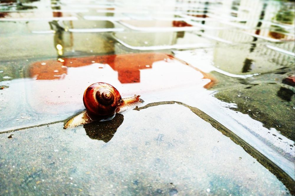 Photograph by Павел Зенков