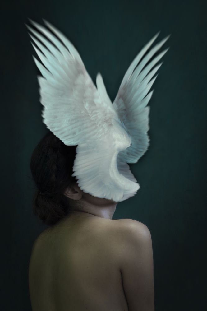 Photograph by Laura Irene Hernández Simón